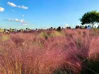 Title: Haneul Park: Seoul’s Heavenly Hilltop with a View