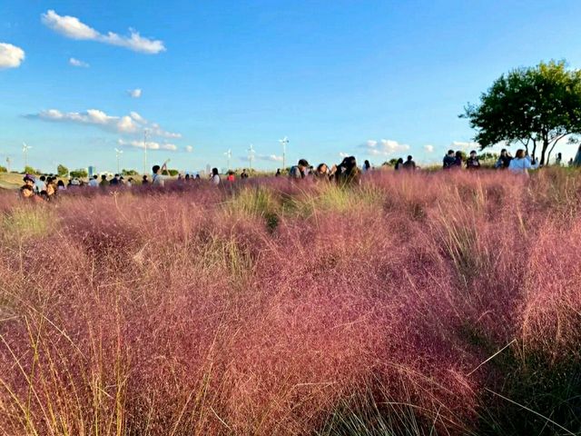 Title: Haneul Park: Seoul’s Heavenly Hilltop with a View
