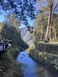 alishan national park
