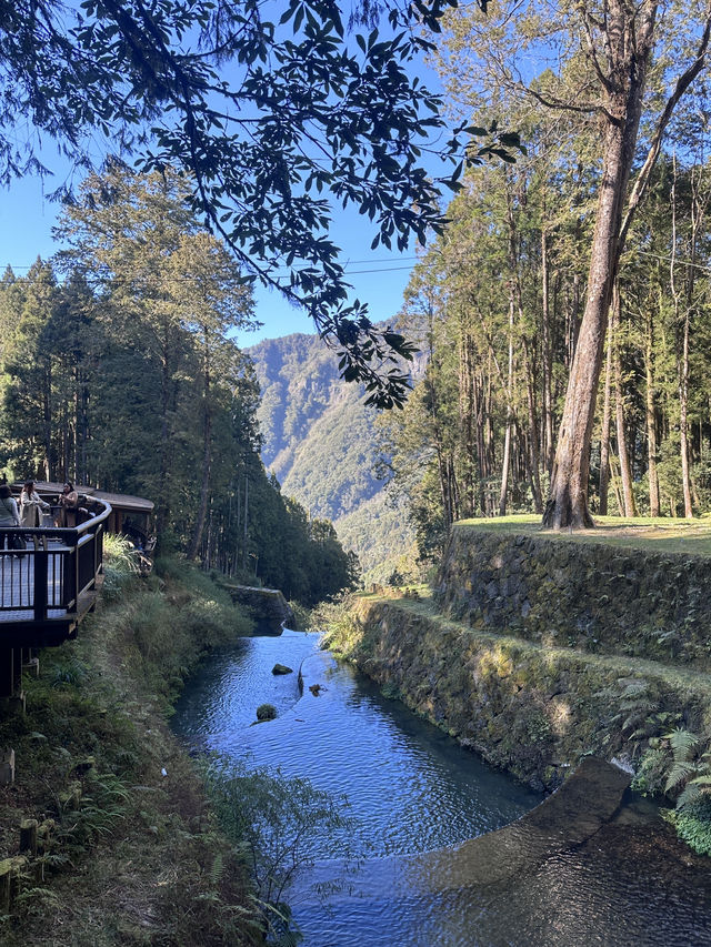 alishan national park