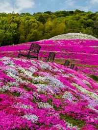 Tokushima – Dance, Mountains, and Cultural Harmony in Shikoku