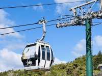 Rotorua Skyline 纜車｜搭上天空電車，俯瞰火山湖與地熱之城的絕美風景
