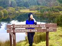 Explore Tasmania's 🇦🇺 Natural Wonders
