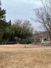 Juknokwon – Bamboo Serenity in Damyang