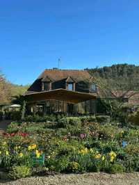 Monet’s Garden – A Living Canvas in Giverny, France