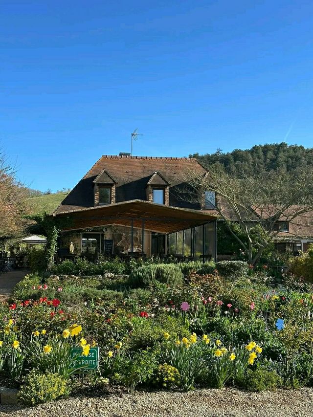 Monet’s Garden – A Living Canvas in Giverny, France