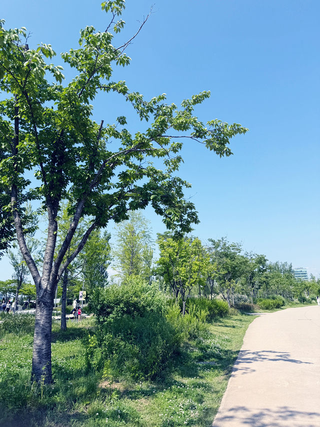 마곡 나루 나들이 추천합니다 💚