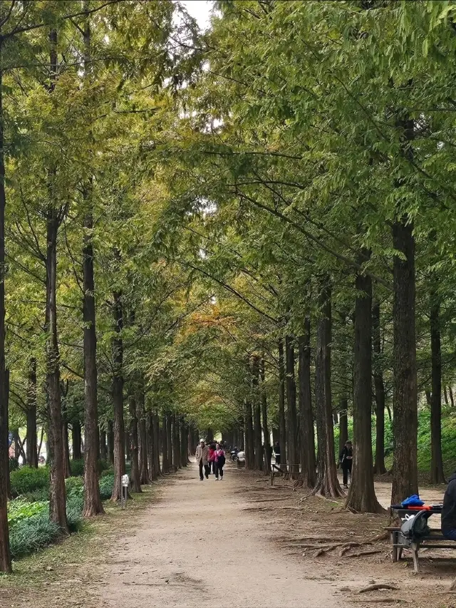 草地、天空，以及滿滿的氛圍感