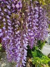 【山口グルメ】美祢市於福･朝日館