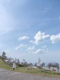 長野県　美ヶ原高原美術館