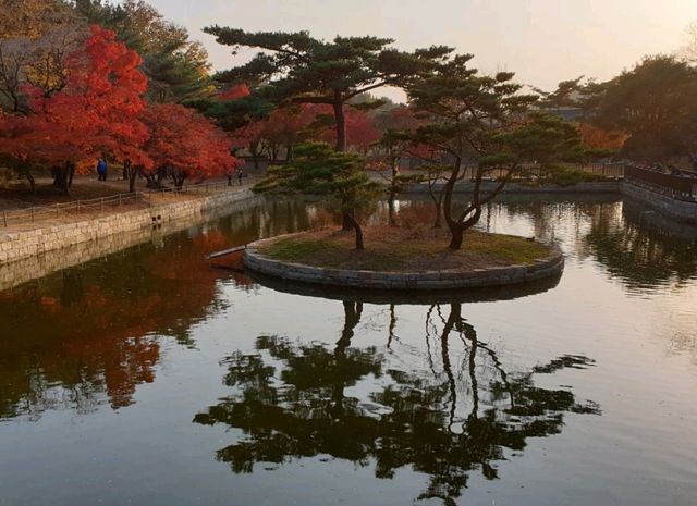 단풍이 물든 가을의 시간 – 현충사 산책