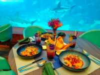 Deep Sea Cafeteria