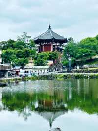 🦌🏯 Kōfuku-ji Temple Weekend Escape: Ancient Wonders & Deer Encounters