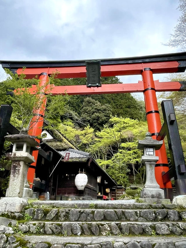 A Peaceful Day Exploring Oku-Saga, Kyoto 🌿