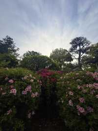奈良｜久米仙人傳說在靈禪山久米寺 巡訪西國藥師靈場