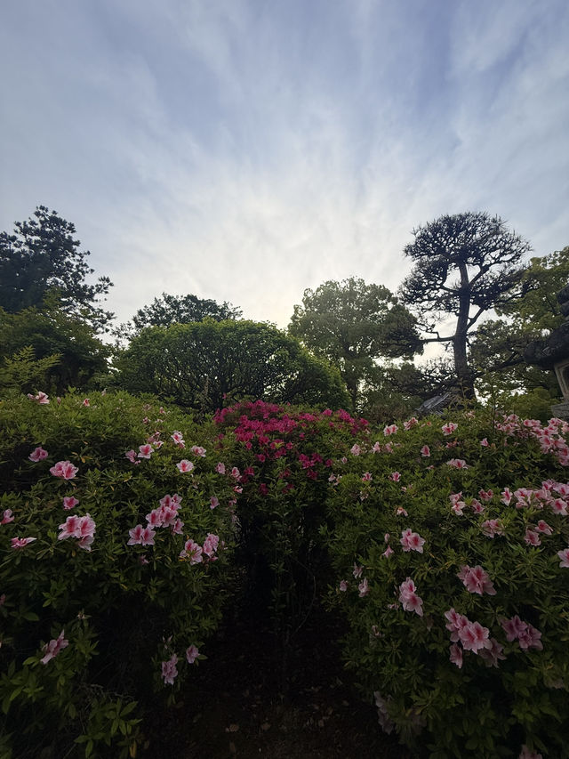 奈良｜久米仙人傳說在靈禪山久米寺 巡訪西國藥師靈場