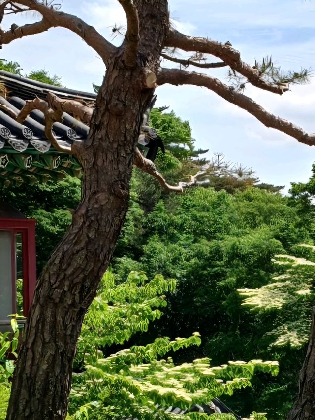 산길 따라 걷는 고요한 사색의 시간