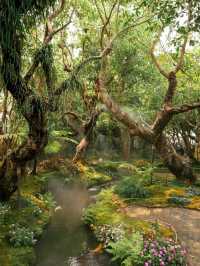 ชมคาเฟ่ เชียงใหม่  (CHOM CAFE AND RESTAURANT)