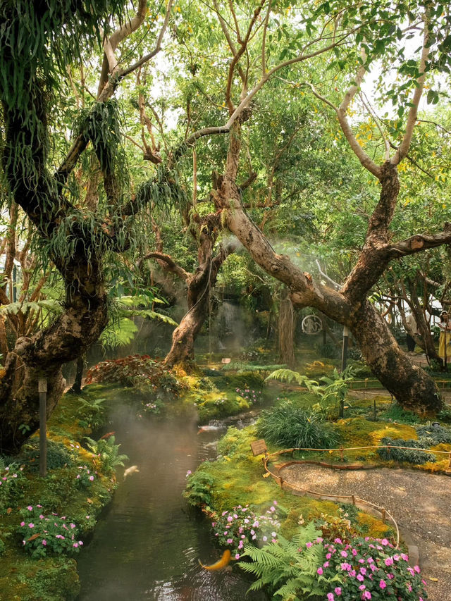 ชมคาเฟ่ เชียงใหม่  (CHOM CAFE AND RESTAURANT)