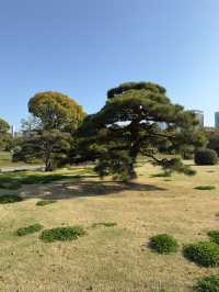 東京濱離宮恩賜庭園購物攻略｜古典庭園中的特色伴手禮精選