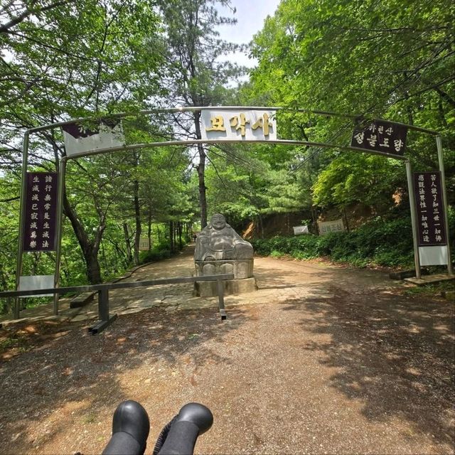 Wandering Ga-hyeon in Gimpo