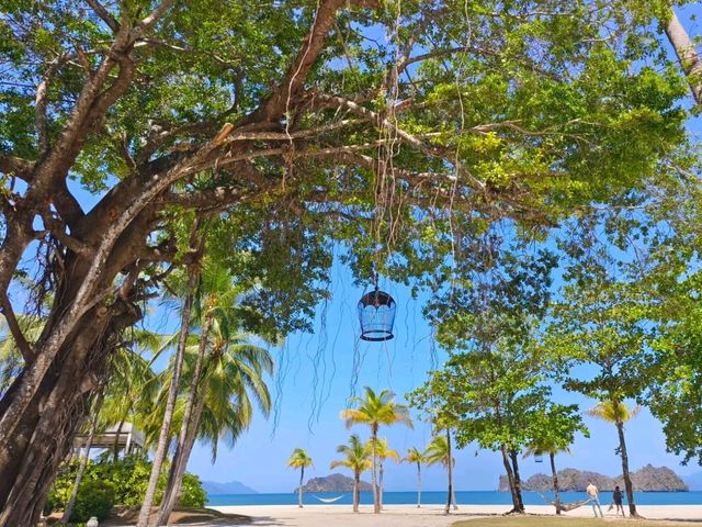 Four Seasons Langkawi: Where Rainforest Canopy Kisses Andaman Shores
