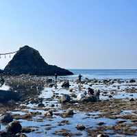 🌊 Fukuoka Itoshima — A Hidden Gem Perfect for Families! 👨‍👩‍👧‍👦