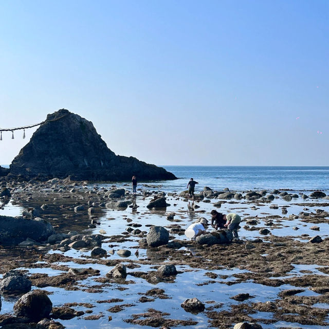 🌊 Fukuoka Itoshima — A Hidden Gem Perfect for Families! 👨‍👩‍👧‍👦