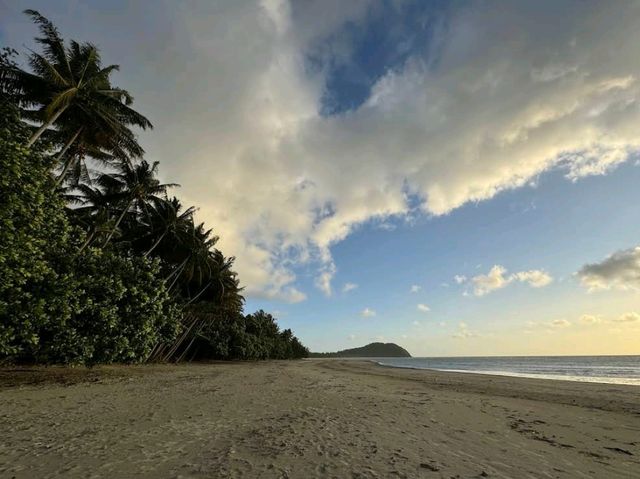 Cape Tribulation – QLD