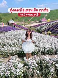 4 วัน 3 คืน เขาค้อ - ภูทับเบิก -เชียงคาน ✨