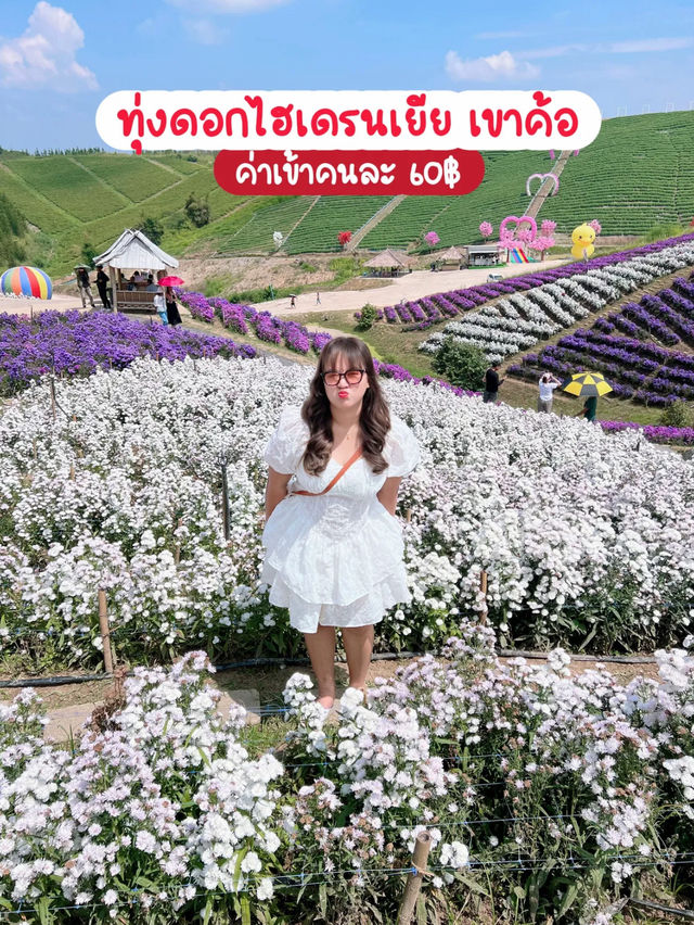 4 วัน 3 คืน เขาค้อ - ภูทับเบิก -เชียงคาน ✨