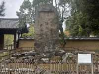 東大寺：在奈良探訪千年古寺，感受佛教文化的莊嚴與美麗！