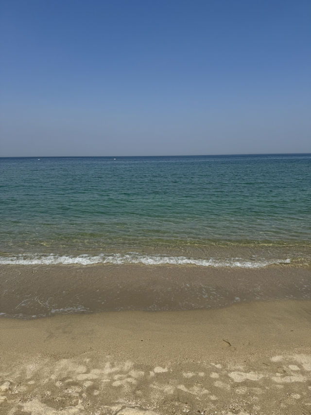 【淡路島🇯🇵】日帰りドライブで行く淡路島旅🧅🌊
