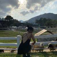 ลานสกา ฟาร์มแกะ – นครศรีธรรมราช 🐑🌳