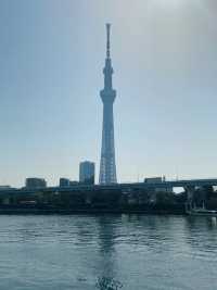 เดินเล่นริมน้ำ Sumida