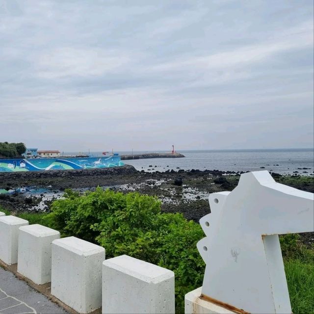 Jeju Town Strolls