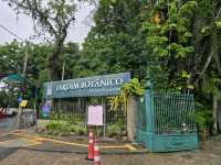 해외여행 브라질에서 가장 큰 식물원 Botanical Garden of Rio de Janeiro