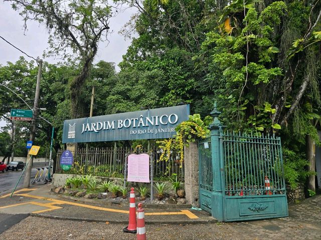 해외여행 브라질에서 가장 큰 식물원 Botanical Garden of Rio de Janeiro