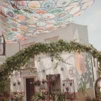Cordoba Patio Festival: A Second Visit! 🌸🌼
