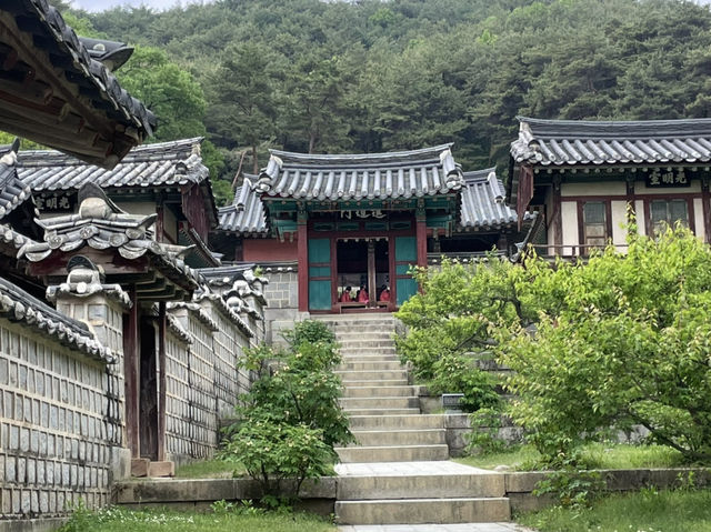 안동 |  📚 조선의 선비 정신이 깃든 곳, 도산서원