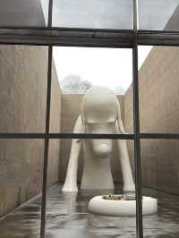 🎯【青森・青森県立美術館】アートと自然が響き合う白い美術空間