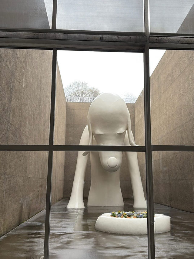 🎯【青森・青森県立美術館】アートと自然が響き合う白い美術空間