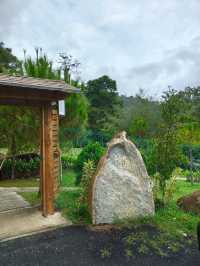 Peaceful Picnic Spot at The Qiū – A Nature Break in Genting