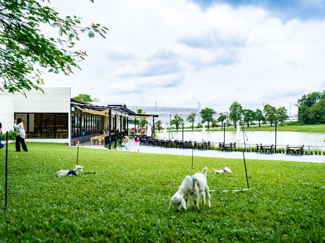 กาปี้ป่าร่า Kapipara : Cafe and Restaurant