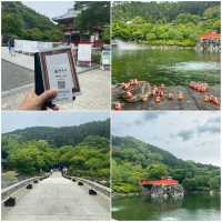 KATSUOJI TEMPLE 2025