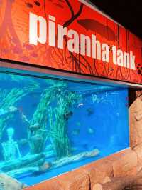 Aquaria KLCC: A Must-Visit Family Adventure This Summer! 