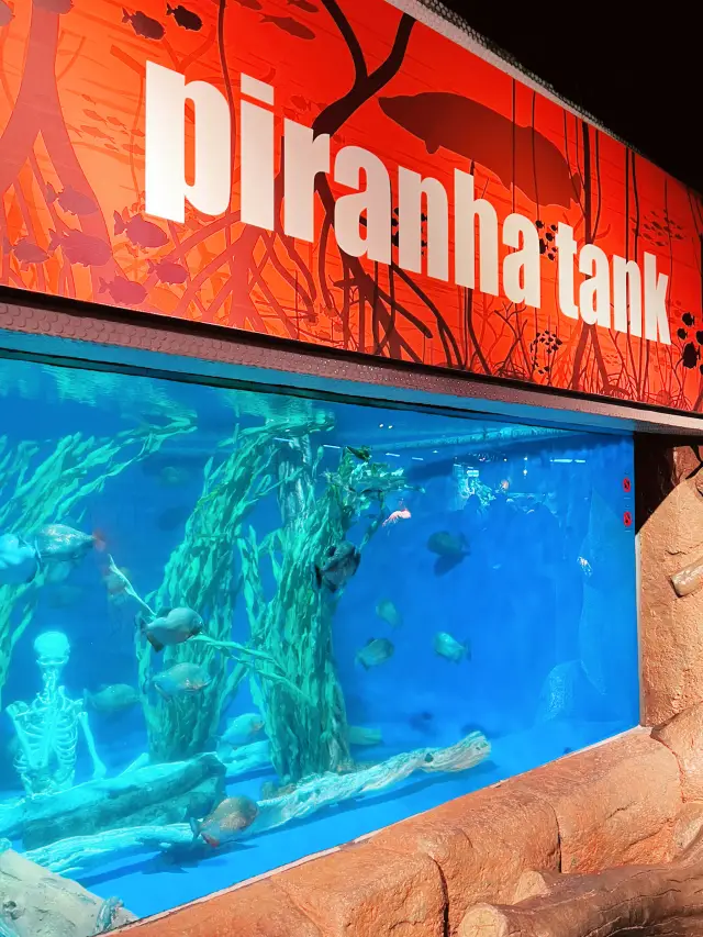 Aquaria KLCC: A Must-Visit Family Adventure This Summer! 