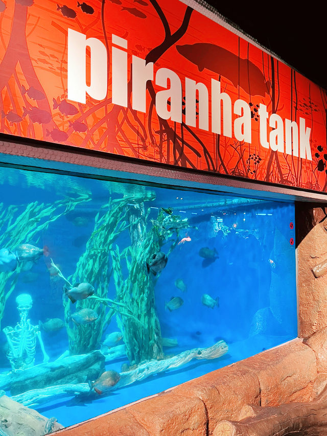 Aquaria KLCC: A Must-Visit Family Adventure This Summer! 
