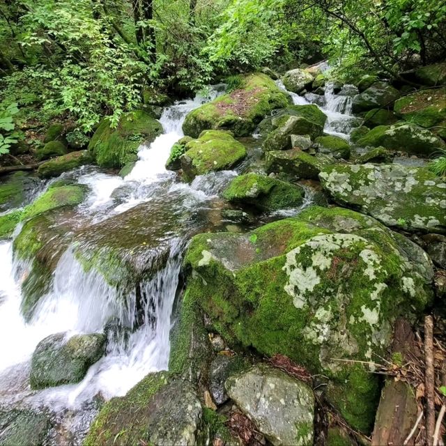 Hike with Peaceful Vibes