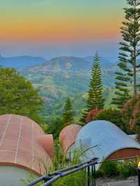  ที่พักเขาค้อ Vibes ดีต่อใจสุดๆ 🤍🌄🌸............